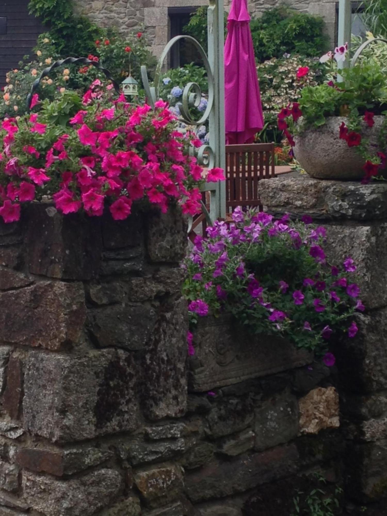 Le Petit Chateau, Matisse Noyal-Pontivy Zewnętrze zdjęcie